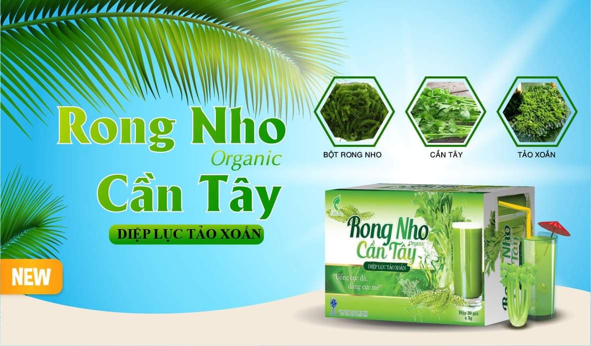 RONG NHO CẦN TÂY OGARNIC - DIỆP LỤC /TẢO XOẮN