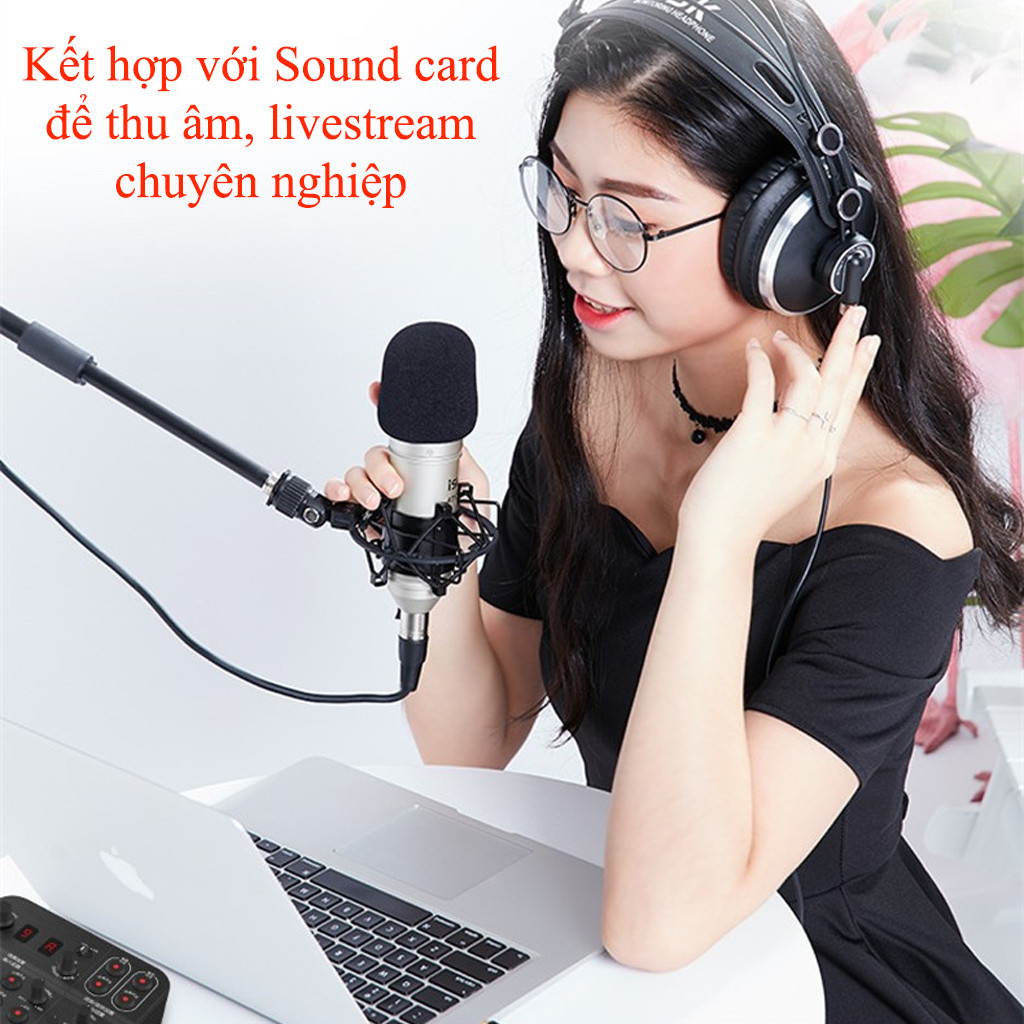 Micro ISK AT100 - Mic thu âm, livestream hát Karaoke Chuyên Nghiệp - HÀNG CHÍNH HÃNG