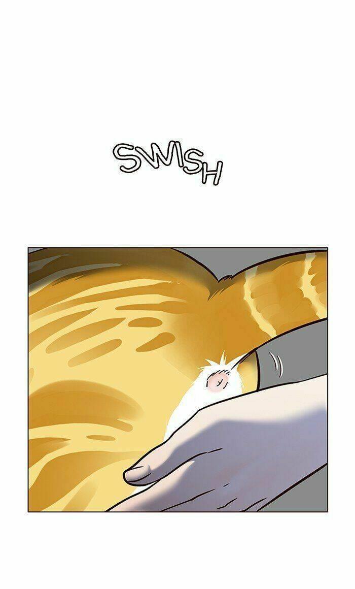 biến thân thành mèo chapter 80 83