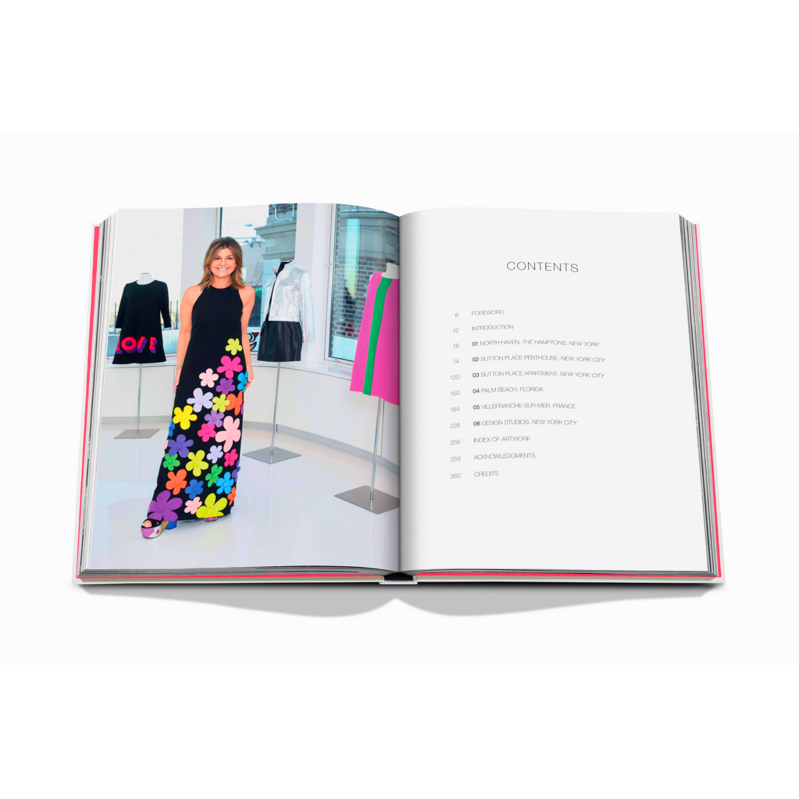 Hình ảnh Artbook - Sách Tiếng Anh - Lisa Perry: Fashion, Homes, Design