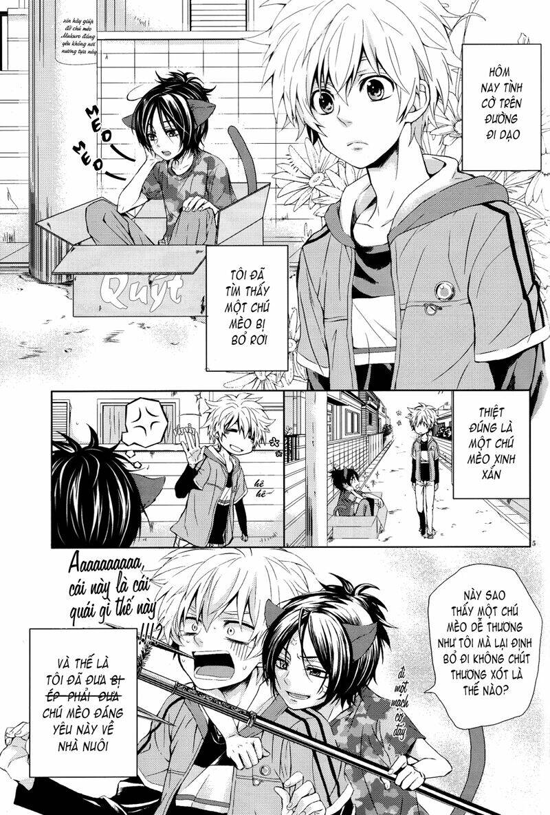 khr doujinshi - do you love kitty chapter 1 8