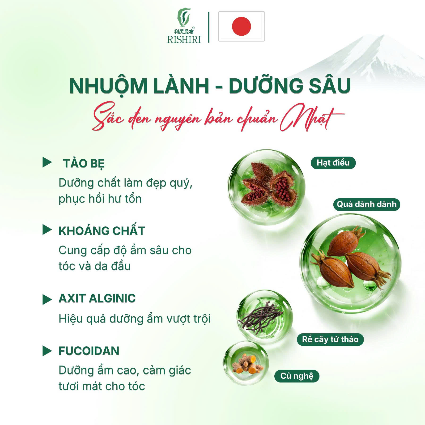Màu Nhuộm Tóc Thiên Nhiên Cao Cấp Từ Rishiri Nhật Bản Hair Color Treatment 200G