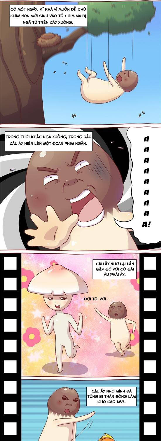 cây nấm kì khả chapter 23 2