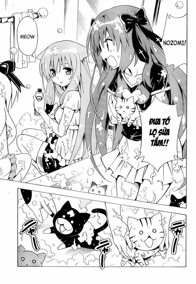 mayoi neko overrun! chapter 7 6
