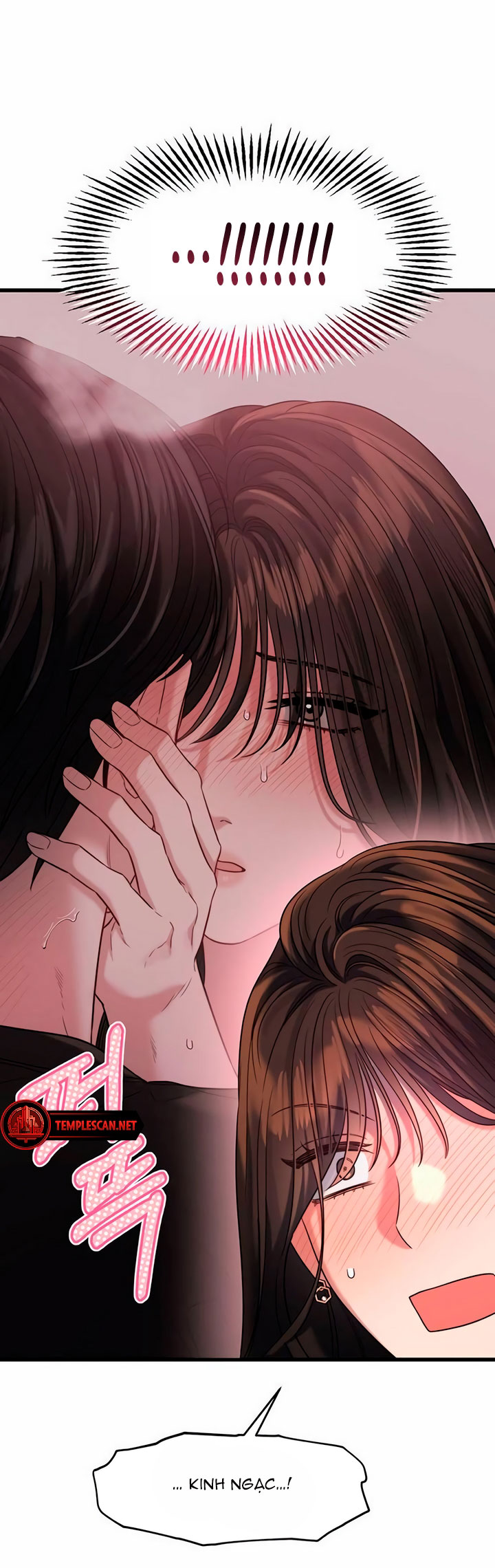 [18+] dục vọng tao nhã chapter 37.2 10