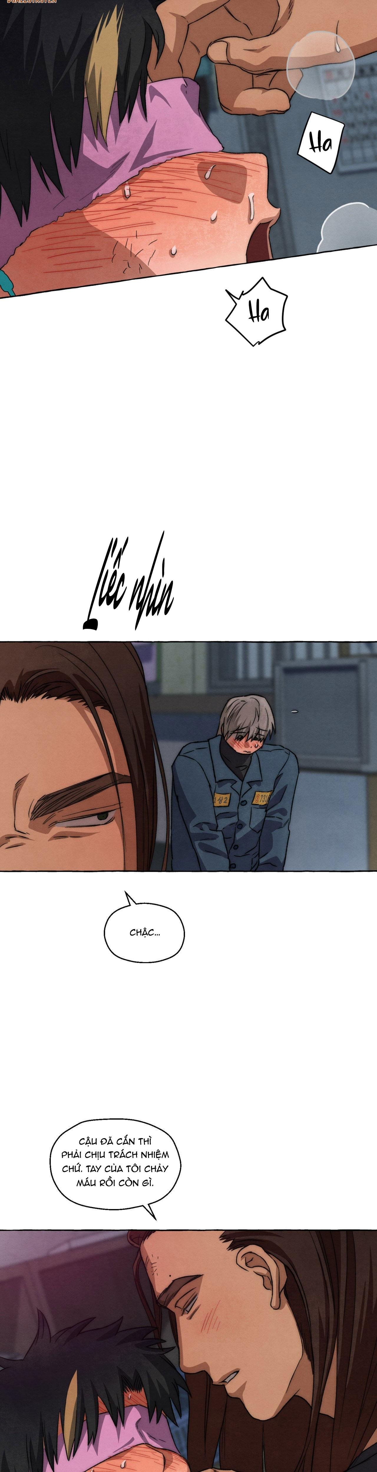 những con chó trong tù chapter 56 10