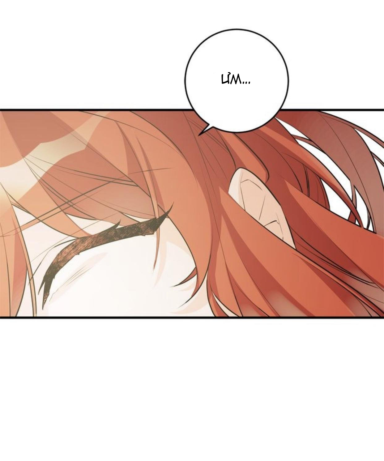 công nương đã thay đổi chapter 60.2 33