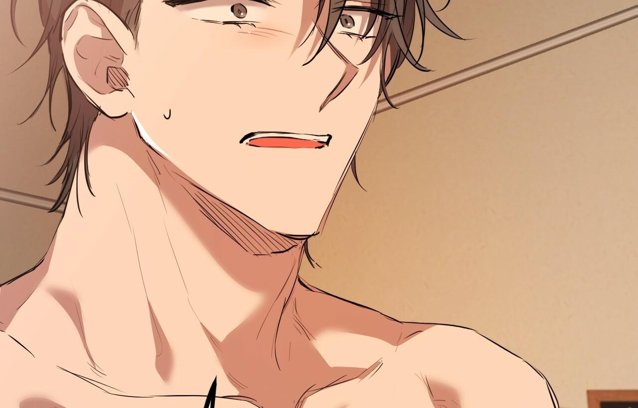 đàn thỏ của habibi chapter 26 163