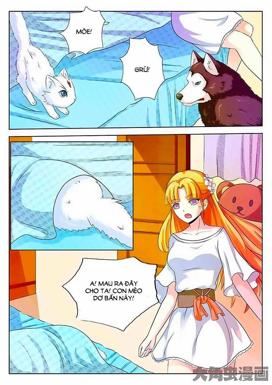 mau lấy con mèo đó ra chapter 2 4