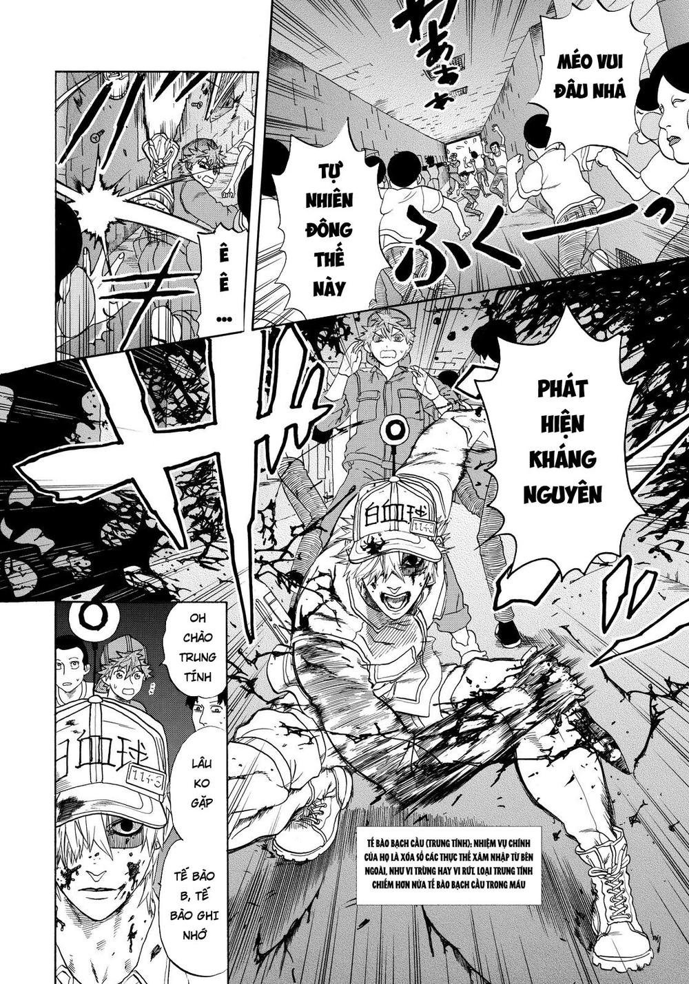 hataraku saibou! chapter 13 8