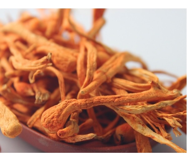QUẢ THỂ KHÔ ĐÔNG TRÙNG HẠ THẢO VINACORDY-10G
