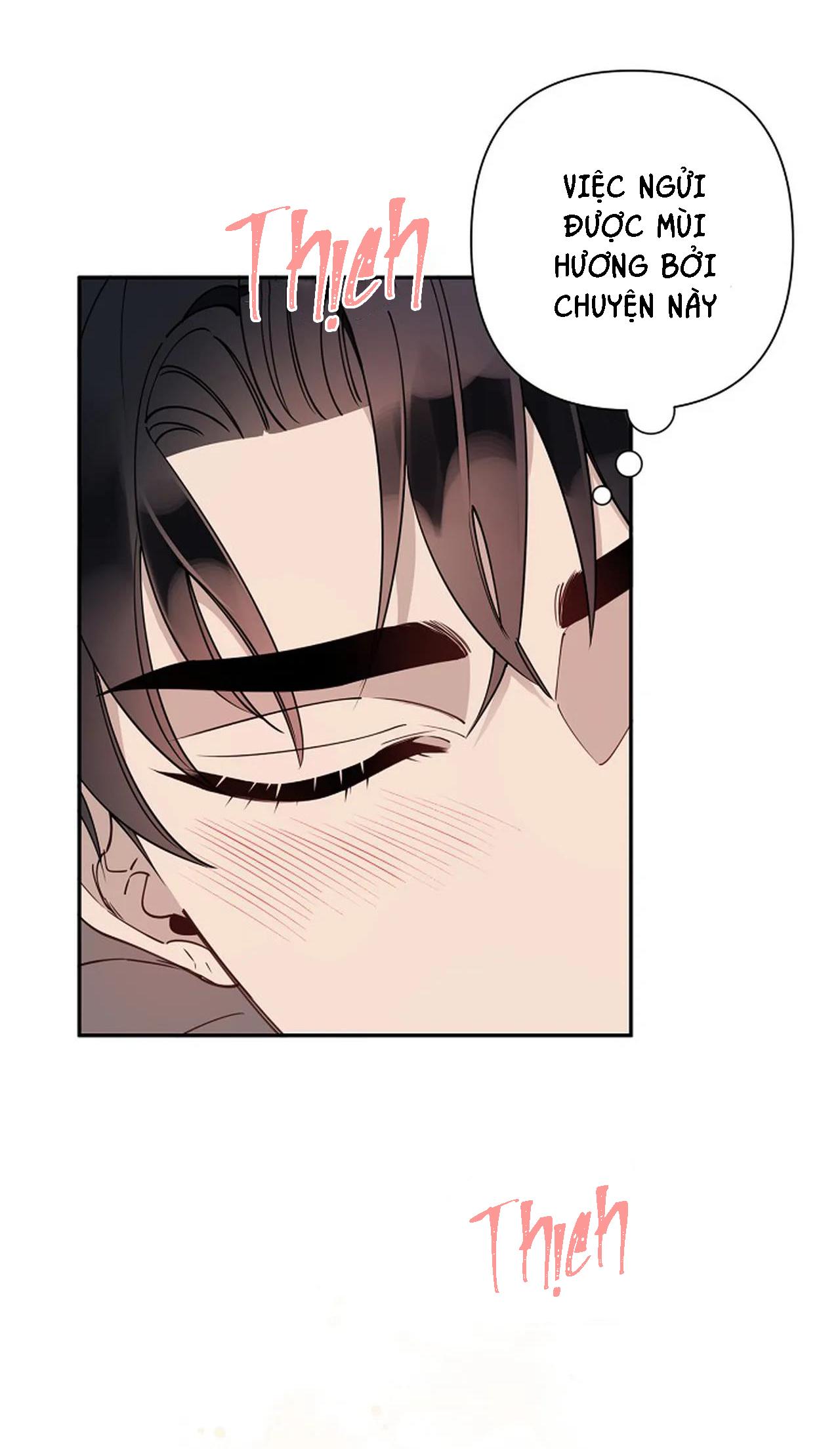 đêm dịu dàng chapter 15 17