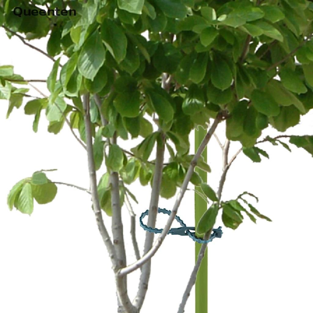 Queenten 50/100pcs Reusable Plastic Plant Support Clips clamps Plants Hanging Vine Garden  QT