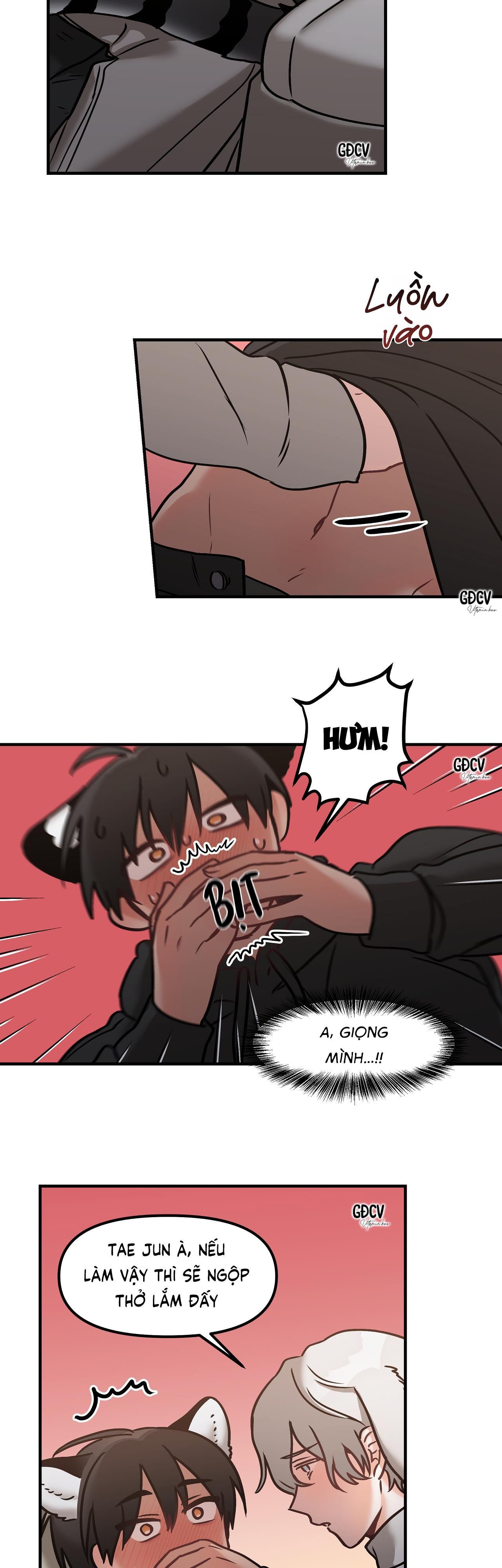 thưa ngài hổ, tôi đã ăn rất ngon miệng chapter 6 7