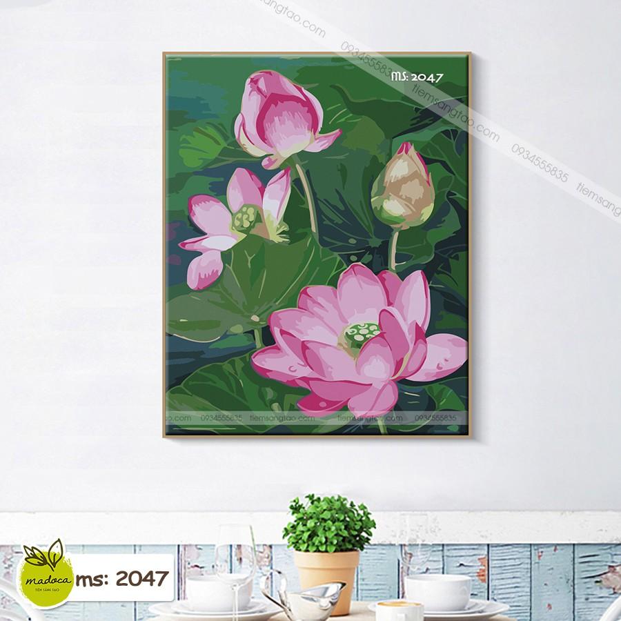 Tranh tô màu 40x50cm có khung đầm sen hồng T2047