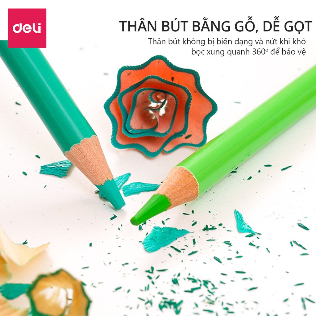 Bút chì màu gốc dầu cao cấp Deli - gỗ tự nhiên - 24 / 36 / 48 / 72 Màu - 6565 / 6566 / 6567 / 6568