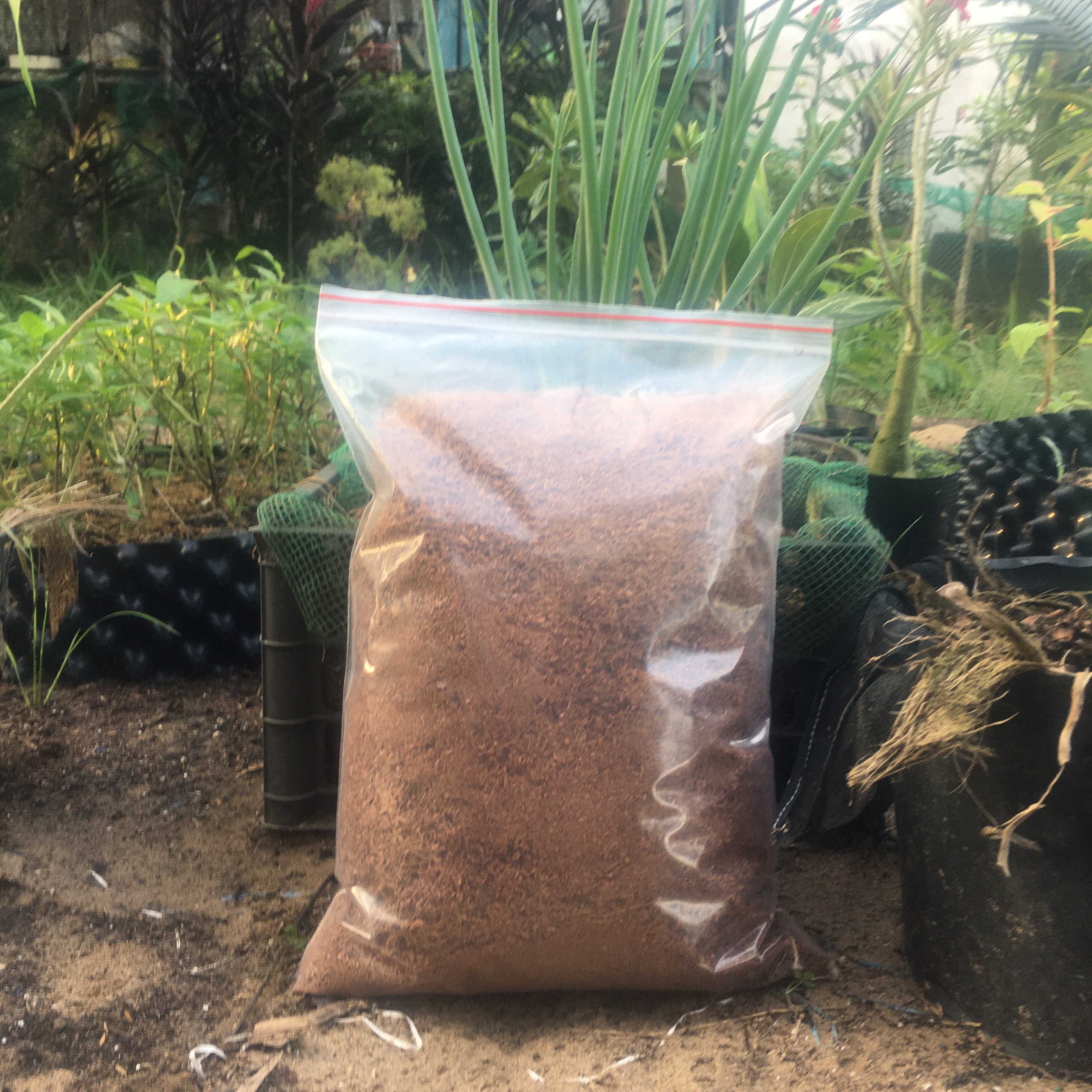 Xơ dừa giá thể trồng cây ươm hạt giống rau mầm 1kg