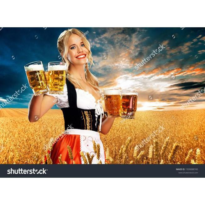 Tranh lụa 3d trang trí Nhà hàng Beer Kích Thước 1,5m x 2m QBQN-1