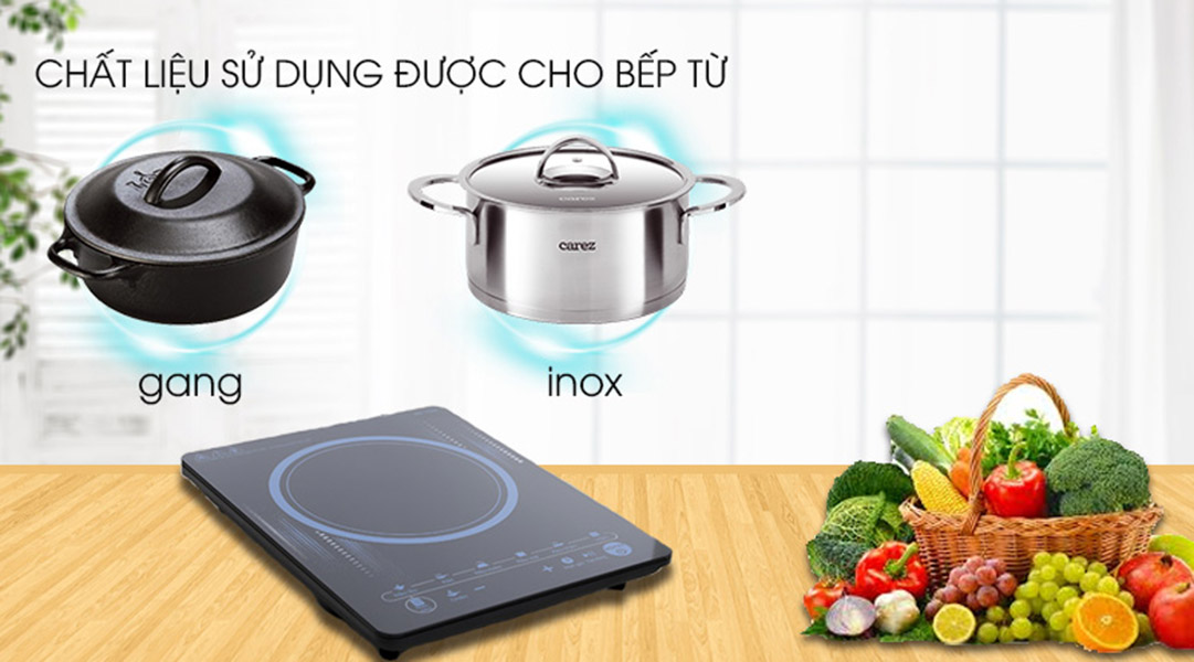 Bếp Từ 217DC - Hàng Chính Hãng