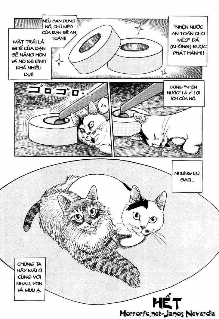 ito junji cat's diary chapter 10 10