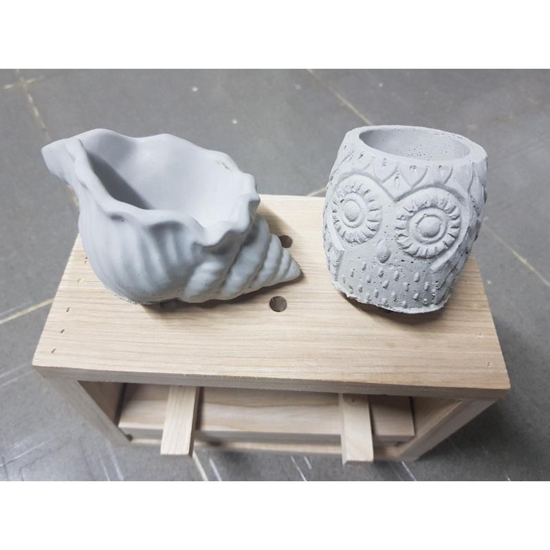 Chậu Xi Măng Mộc/ Hoạ Tiết Cú & Sò