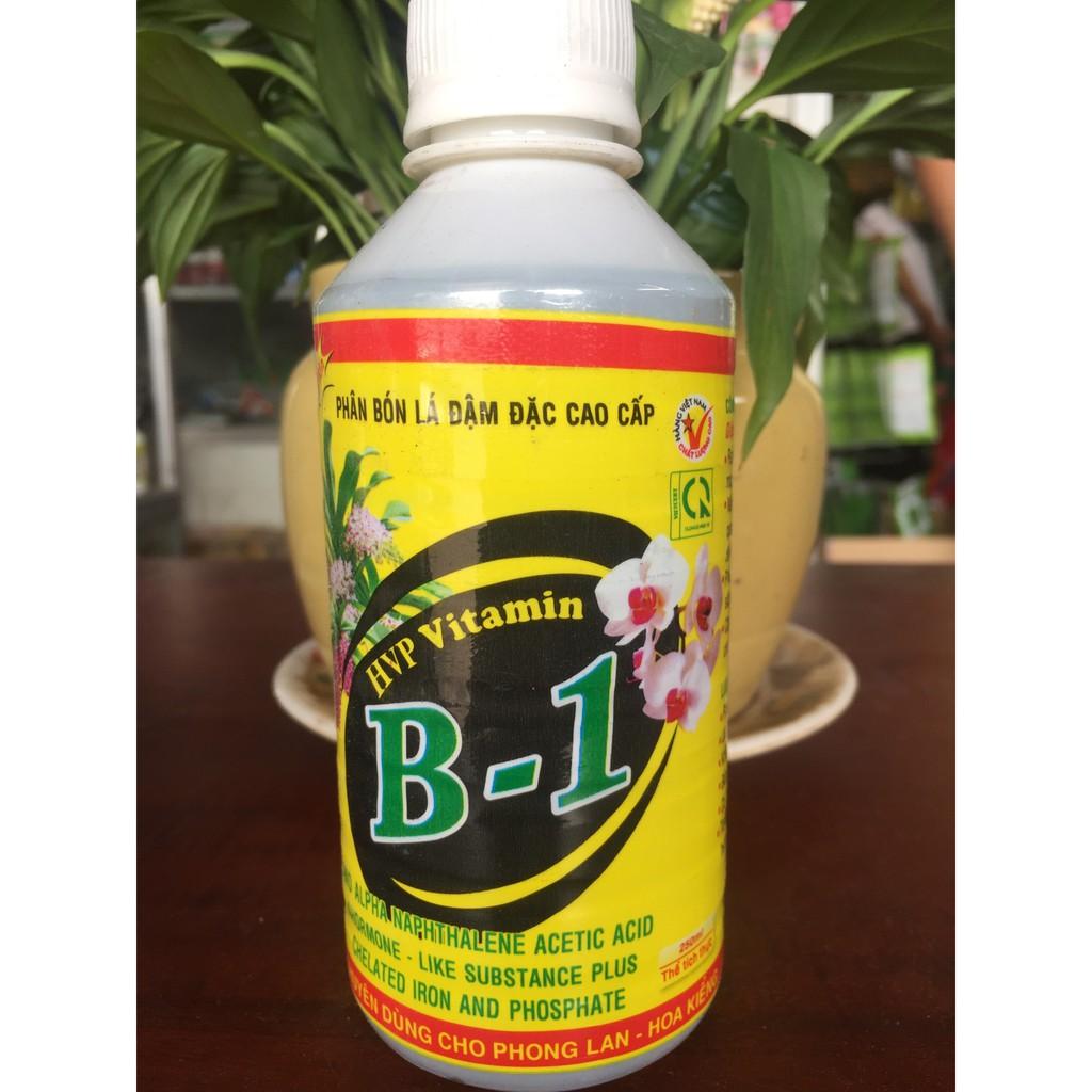 VITAMIN B1 HVP Phân bón lá đậm đặc cao cấp cho Hoa Lan và các loại cây cảnh