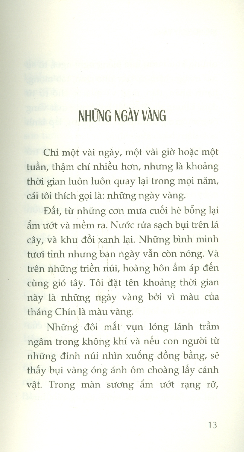 Những Ngày Vàng - Hamvas Béla - Nguyễn Hồng Nhung dịch - (bìa mềm)