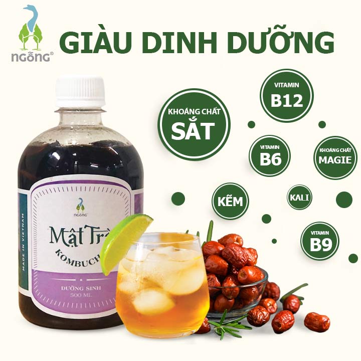 Mật trà Kombucha Dưỡng sinh 100ml