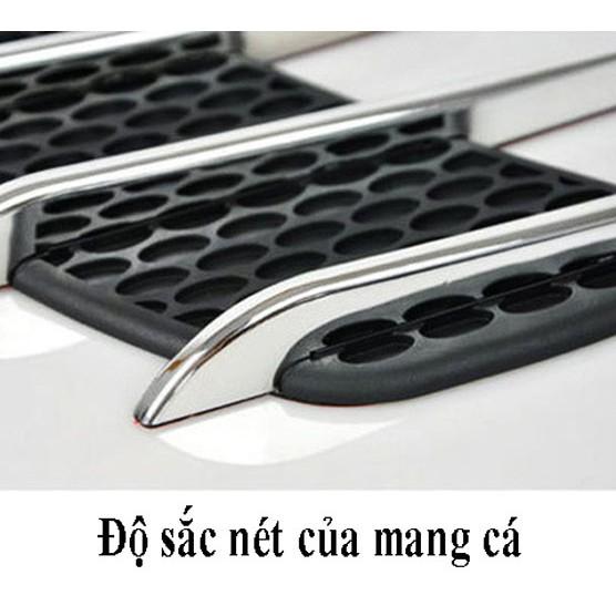 Cặp mang cá trang trí ô tô