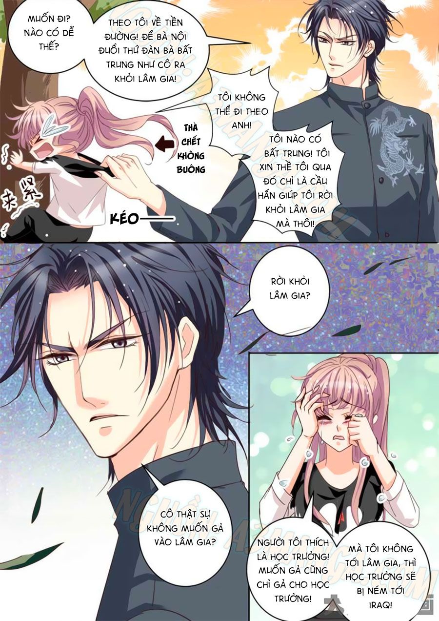 Bá Đạo Tổng Tài Yêu Ta chapter 17 - Trang 7