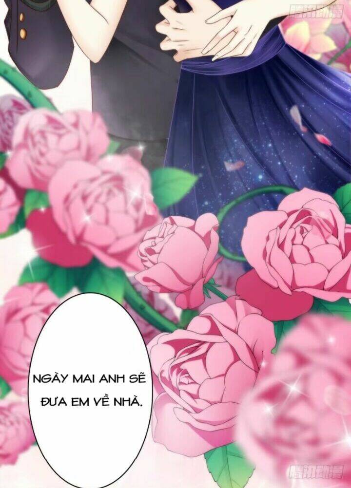 thất ức kiều thê sủng ái ký chapter 6 29