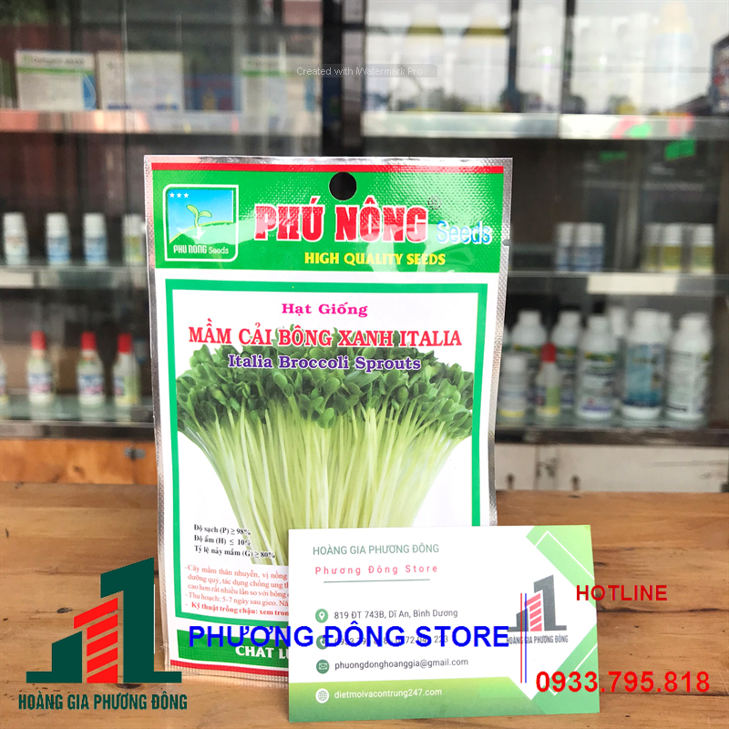 Combo 5-10 gói hạt giống rau Mầm bông cải xanh nảy mầm đồng đều, sinh trưởng tốt
