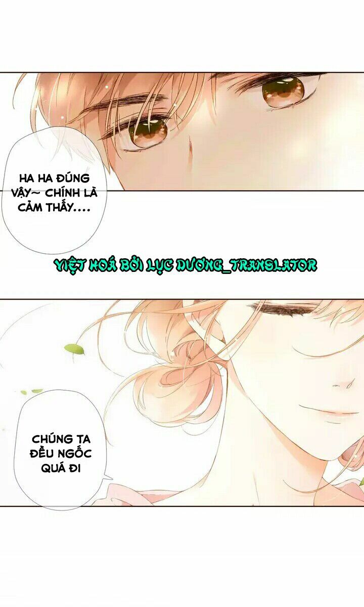 Tình yêu là màu hoa anh thảo chapter 28.2 11