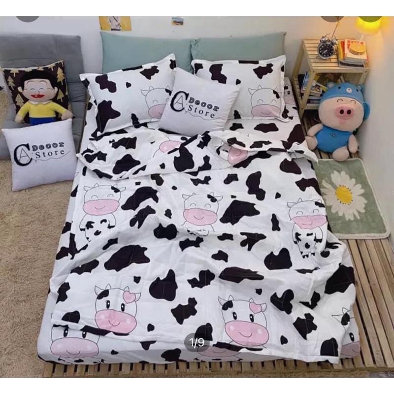 Sét 5 món ga poly cotton 2mx2m2