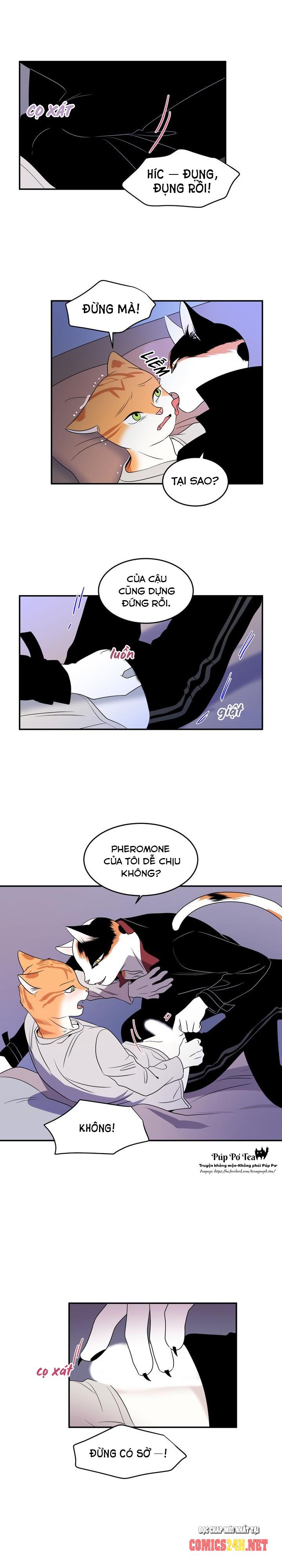 dự án xanh chapter 1 21