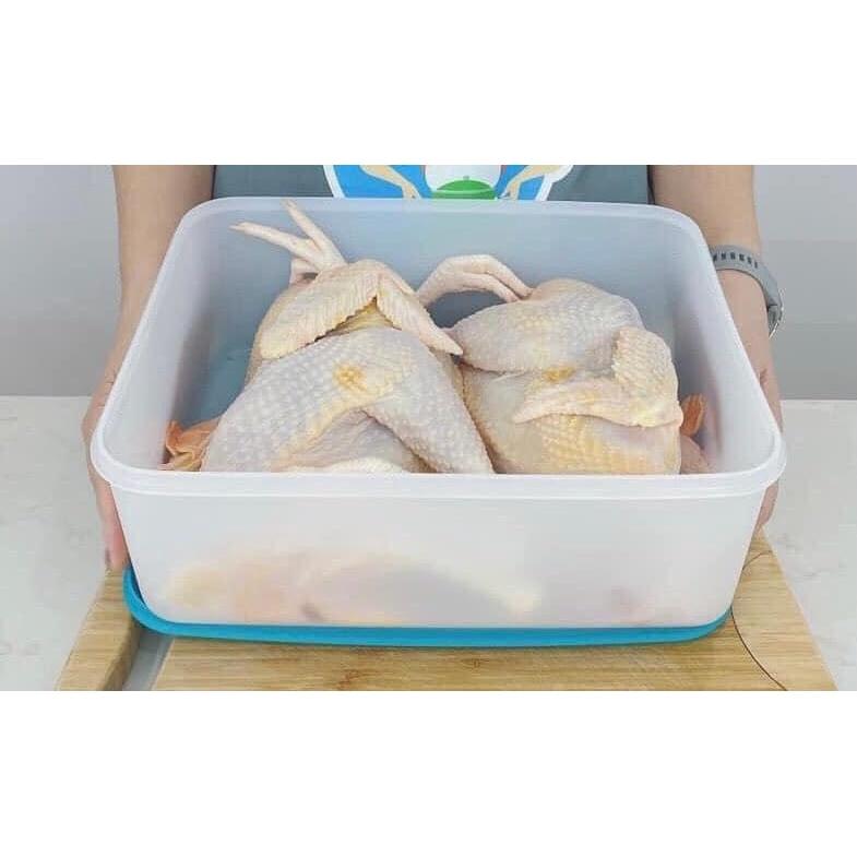 BỘ TUPPERWARE 2 HỘP TRỮ ĐÔNG FREEZERMATE GEN II 5.7L (01 HỘP)