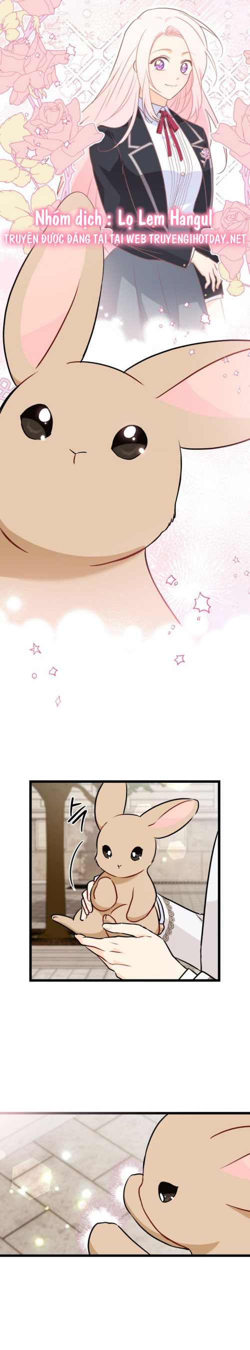 mối liên kết giữa báo đen và bé thỏ chapter 145 24
