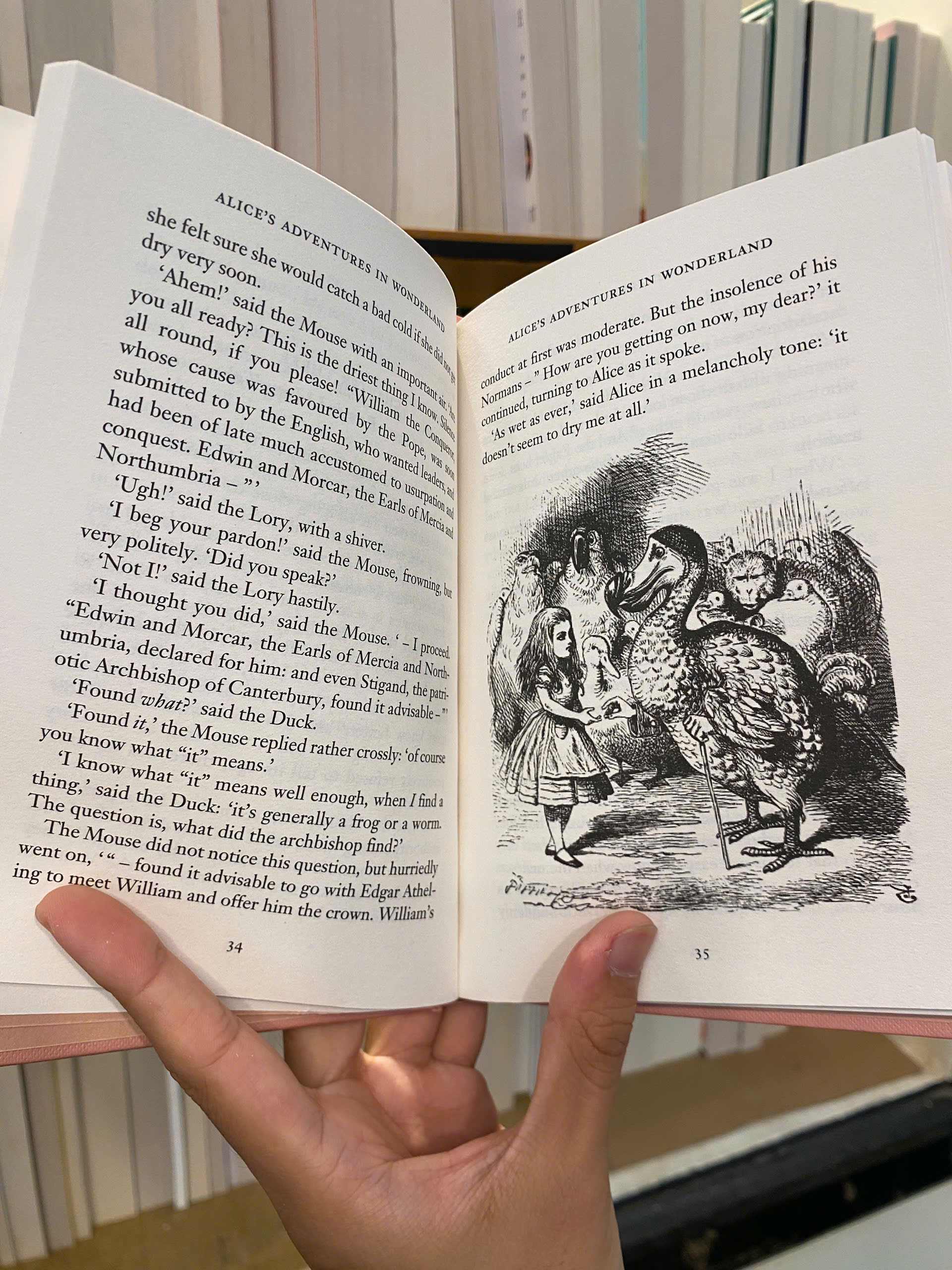Sách - Alice in Wonderland by Lewis Carroll | Children Classic Novel / Ngoại văn Kinh điển Bìa cứng