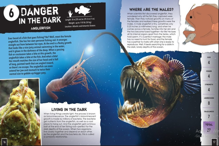 Sách tiếng Anh - Real Life Monsters Of The Deep