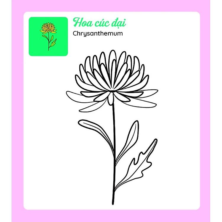 Sách Tớ Tự Tô: Những Bông Hoa Xinh