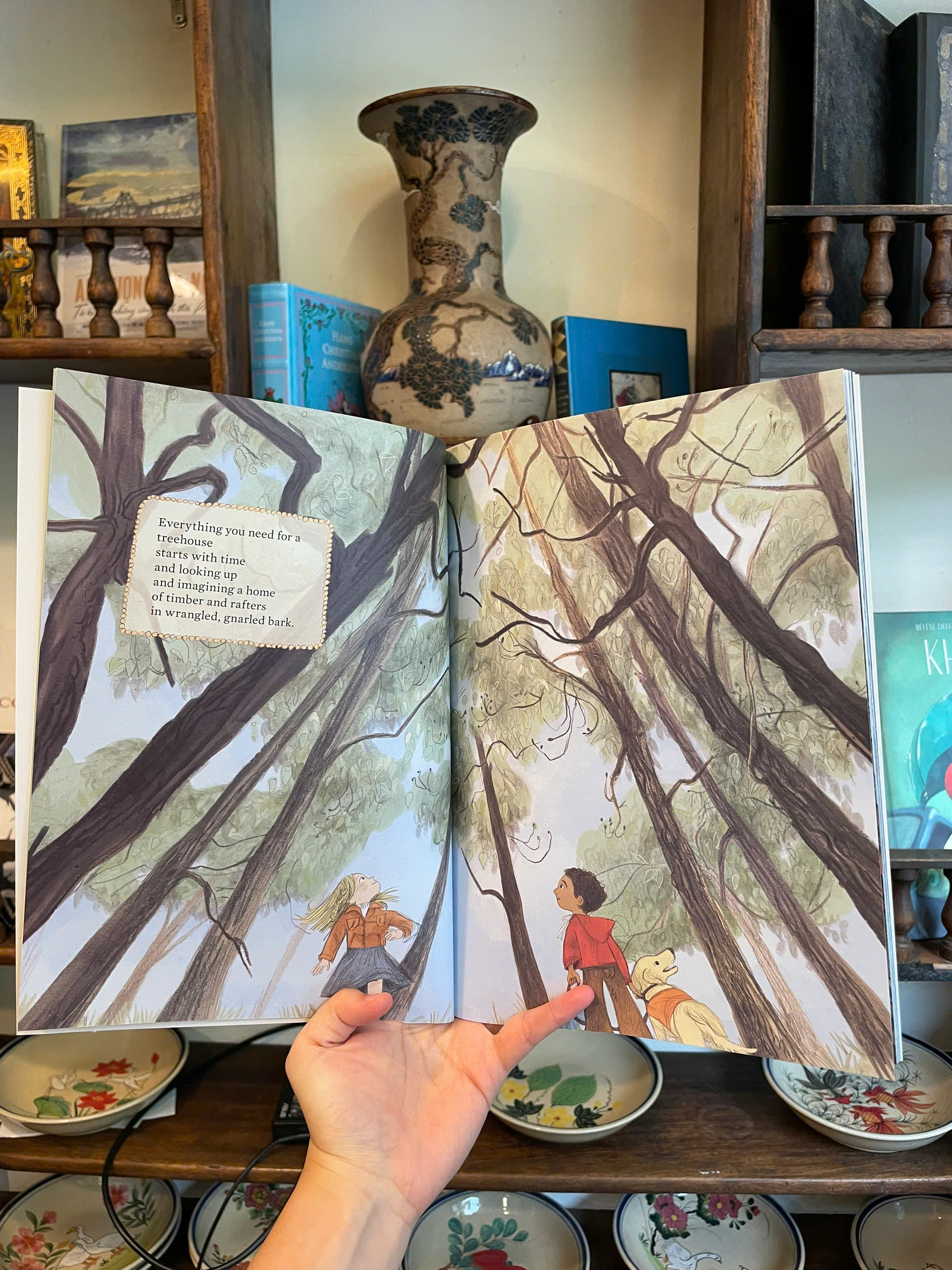Sách - Everything You Need for a Treehouse Paperback by Carter Higgins - Children Picture book