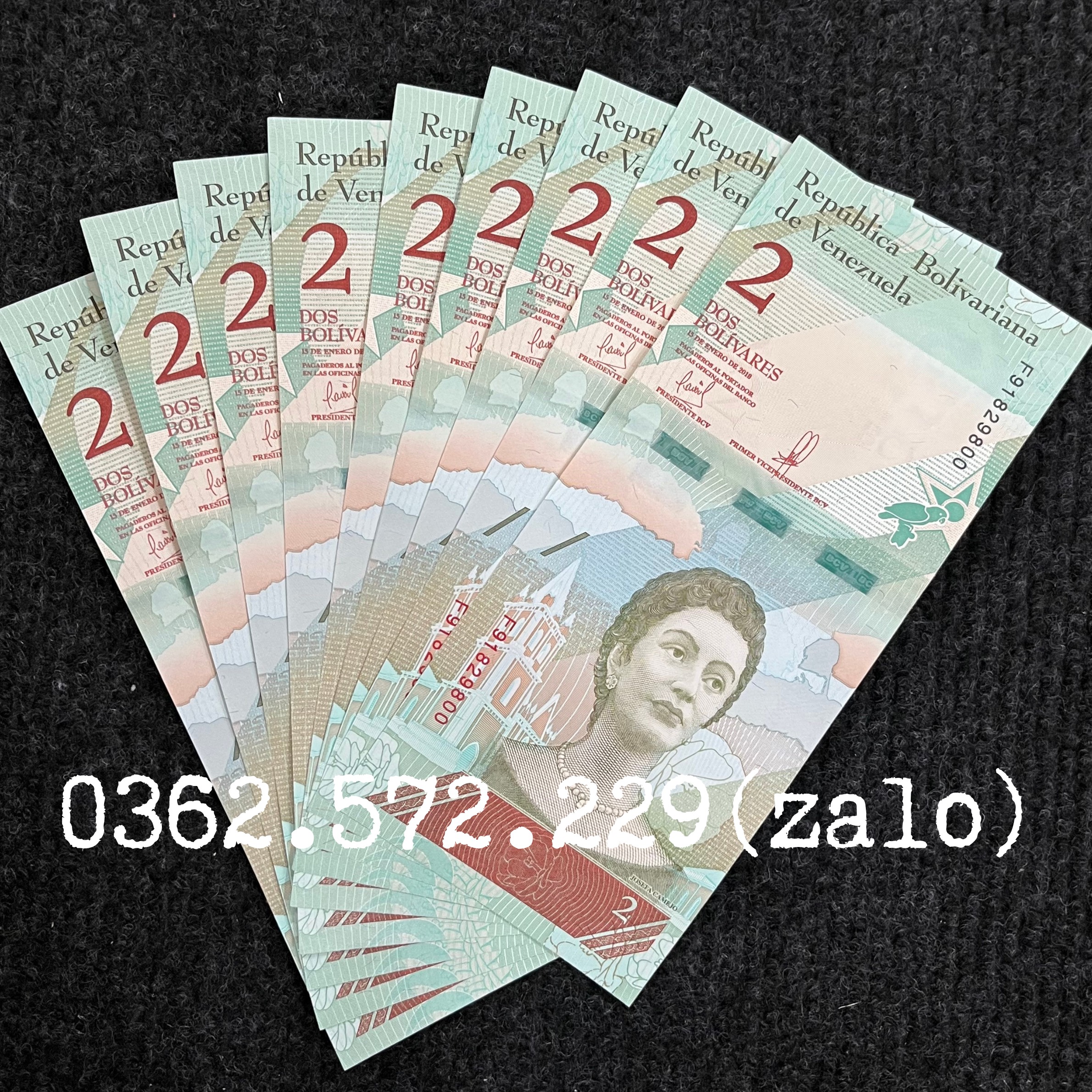 Combo 10 Tờ  Tiền 2 Bolivares của Venezuela hình con chim két tiền châu Mỹ , Mới 100% UNC