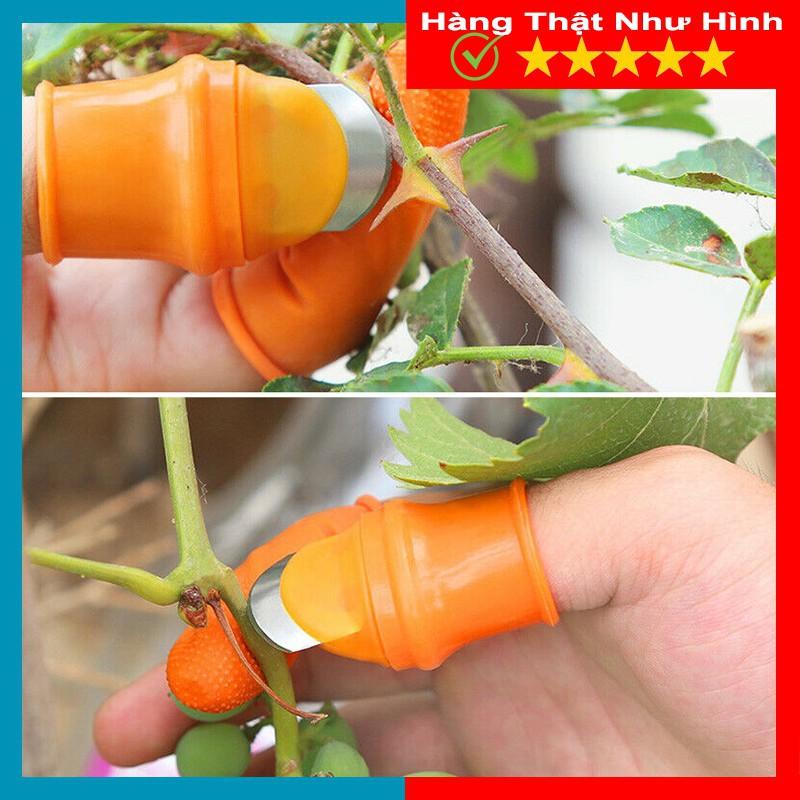 Bộ Móng Nhặt Rau Củ Quả Chống Bẩn Móng Tay, Ngón Cái Bấm Cắt Rau Củ - Nạo Gọt Tiện Lợi