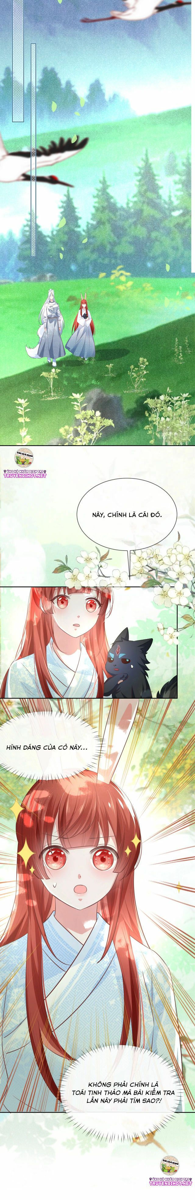 nuôi thỏ? nam chính hắc hóa rồi! chapter 18 10