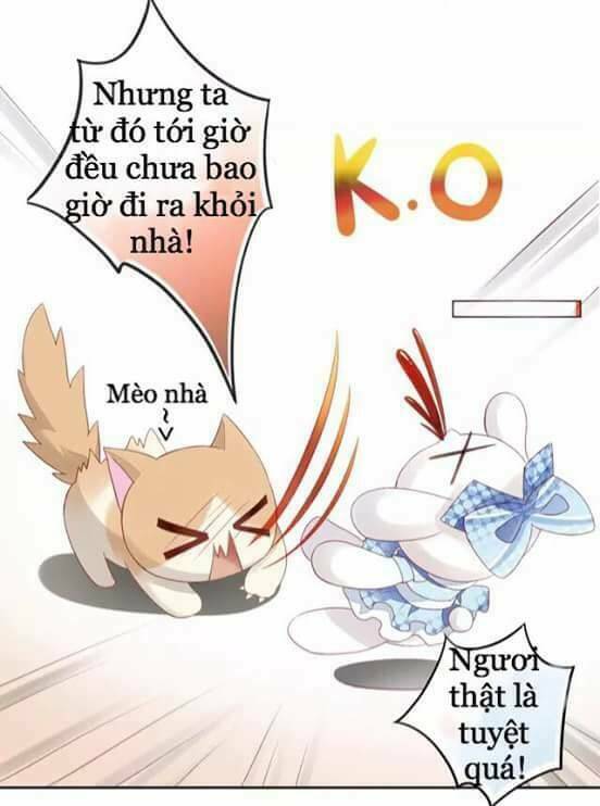 dưới móng vuốt mèo chapter 7 21