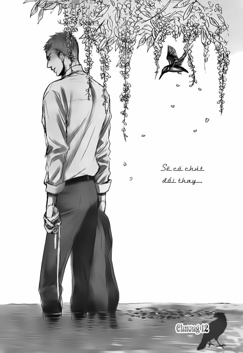 saezuru tori wa habatakanai chapter 12 3