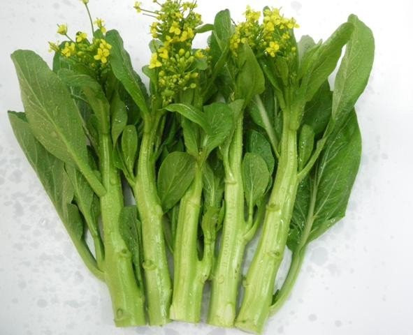 Hạt giống rau cải ngồng