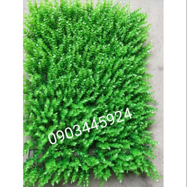 Cỏ tai chuột hàng loại 1 ngọn cao 8cm- thảm cỏ