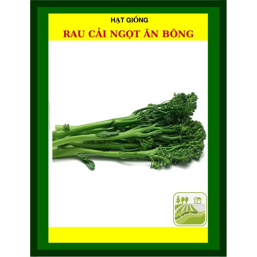 Gói 20gram - Hạt Giống Cải ngọt Ăn Bông Rạng Đông - Shop Hạt Giống Ba Miền Chịu Nhiệt