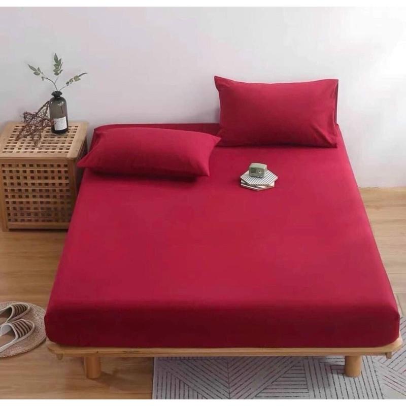Bộ 3 món ga gối cotton TC nhiều màu